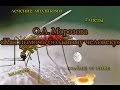 О.А. Морозова &quot;Как помочь больному человеку&quot; лечение лягушками, малярия, глисты