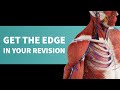 Studying the skeletal muscles with complete anatomy