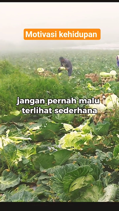 Motivasi kehidupan || Jangan pernah malu terlihat sederhana