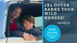 Off Roading on OBX HWY 12 North to see  Carova Wild Horses @EmAndtheGang