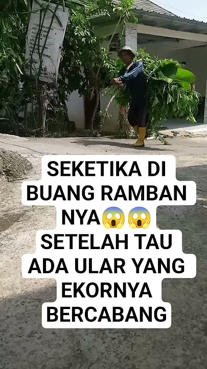 BAPAK ROSMIN SANGAT PANIK SETELAH TAU DALAM RAMBANNYA#shorts#viral#viralshort