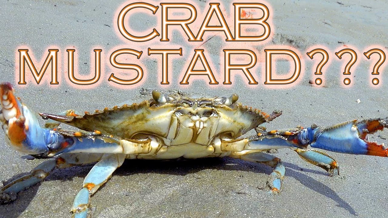 What Is The Orange Stuff In A Crab?