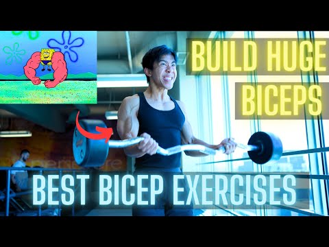 The Only 3 Bicep Exercises You NEED to Grow HUGE Biceps