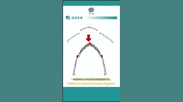 Super emulsifier KF-5858