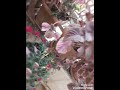 عادل خضور عادل خضور