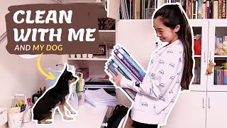 (sub) Clean with me and my dog! 狗狗陪我整理 | declutter | Malaysia