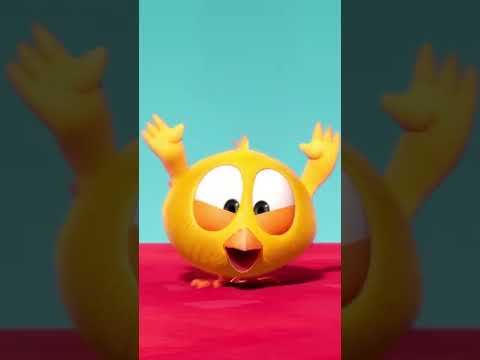 SHORTS CHICKY | 👏 CLAP CLAP 👏 | Where's Chicky #shorts
