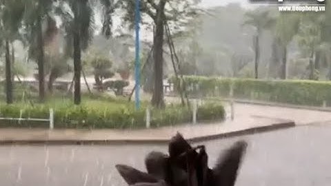 ‘Bì bõm’ trong bệnh viện sau cơn mưa sáng