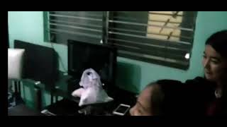 Unang Tattoo Ni Rob Moya Toni Fowler