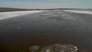 Drone footage of early spring in Manitoba, Canada