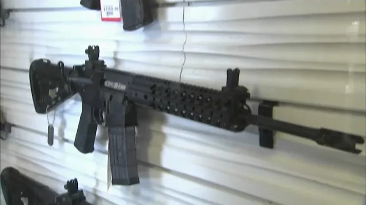 Illinois assault gun ban heads to state Senate after House passes bill