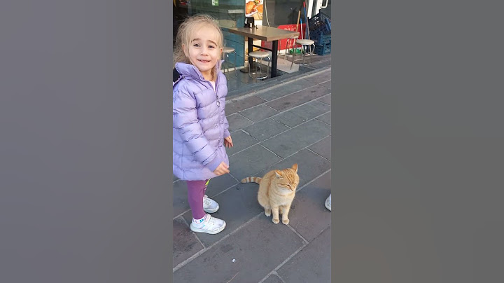 kedi fena saldırdı !! #shorts #keşfet