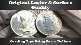 Original Luster & Surface Quality - Grading Tips Using Peace Dollars
