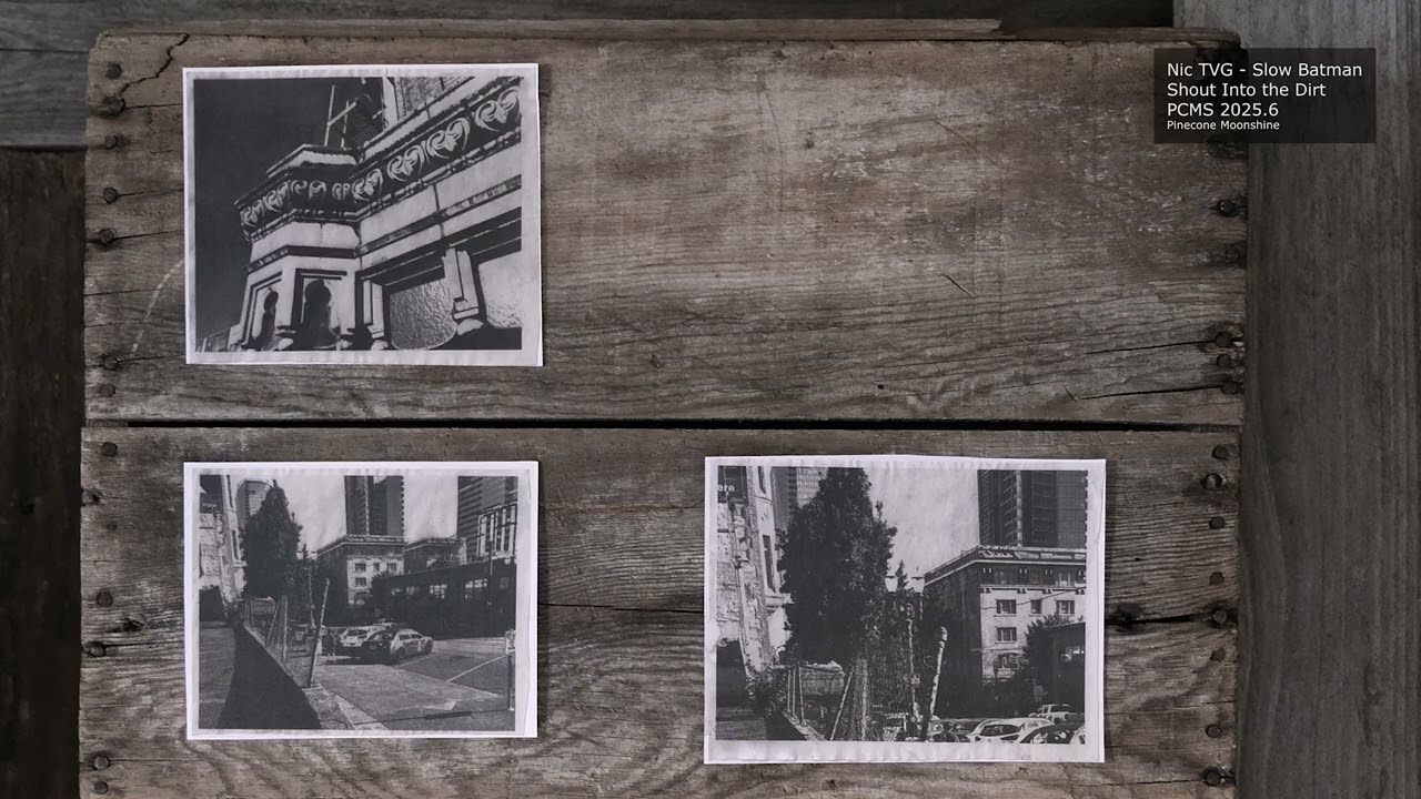 Nic TVG - Slow Batman