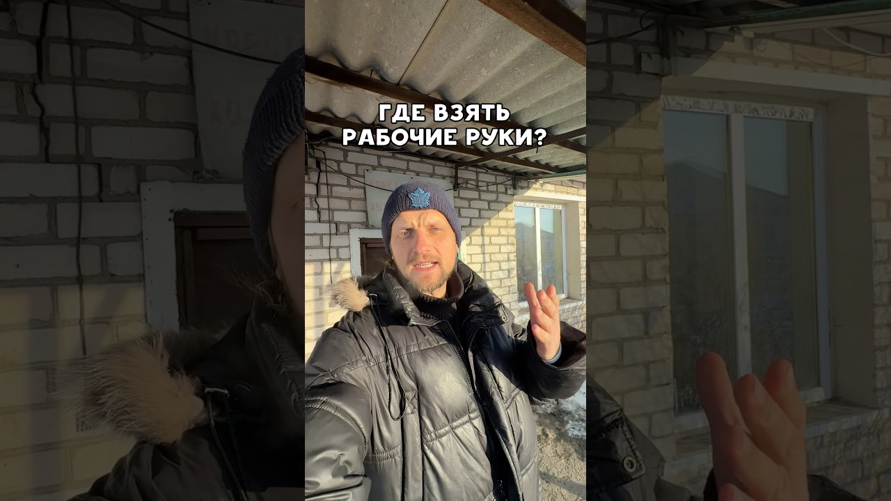 Как вам такие мигранты? 