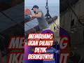 Detik-Detik Tuna Raksasa Sambar Sisa Ikan! Momen Langka!