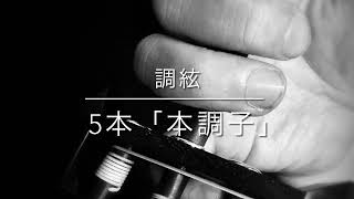 調絃シリーズ 5本 本調子 - YouTube