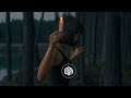 David Kelix White Night Original Mix 