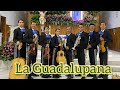 La Guadalupana - Mariachi Sta Maria Magdalena