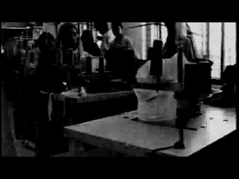 Sweatshops essay