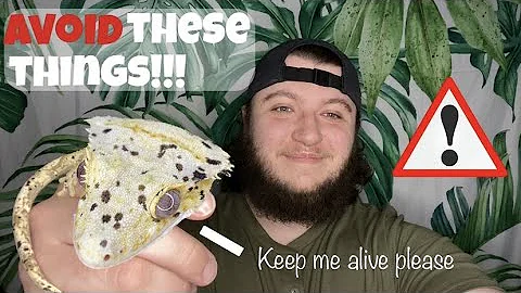 Top 5 MISTAKES to avoid doing to your CRESTED GECKO!