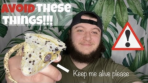 Top 5 MISTAKES to avoid doing to your CRESTED GECKO!