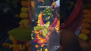 तेरी गलियों में मेरा दिल लगदा 🙏🔱#mahadev #mahadevstatus #mahakalstatus #shorts #ytshorts #viral