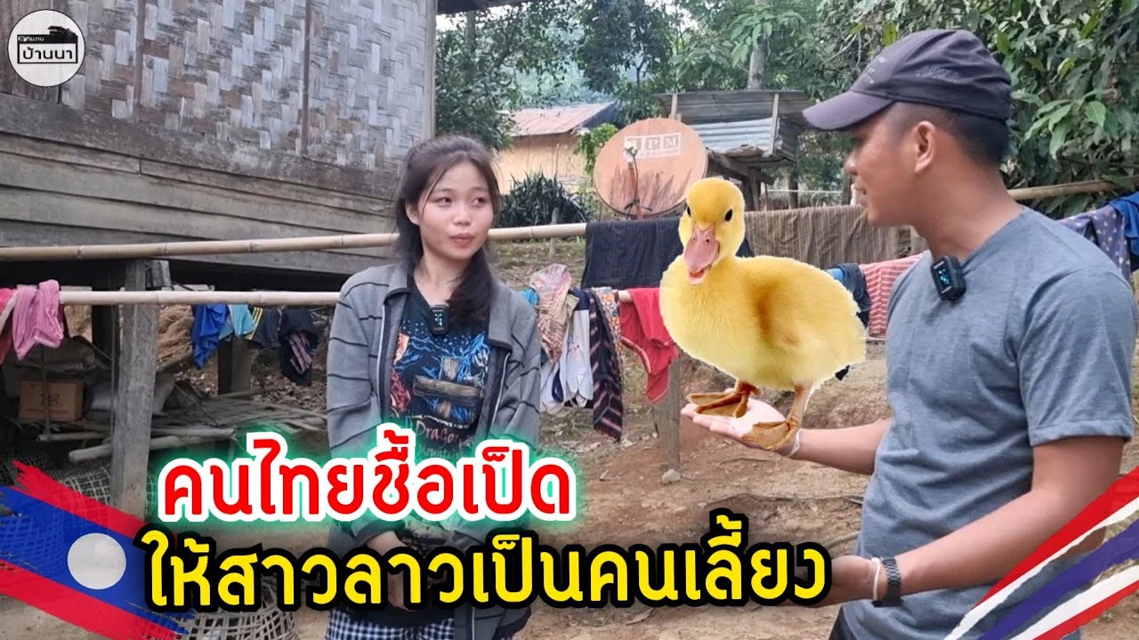 ชีวิตจริง#สาวลาว🇱🇦พ่อตายจากแต่ยังเด็ก​ อยากได้เป็ดมาเลี้ยงสักตัวเพื่อต่อยอดผลผลิต​ บ่าวไทยเลยชื้อให้
