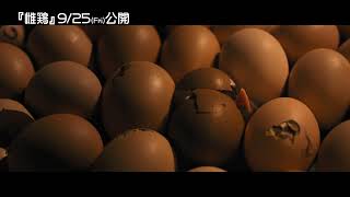 冒頭映像