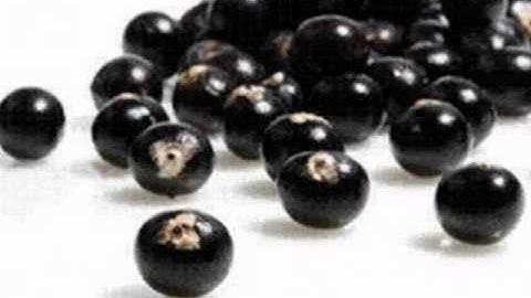 Student Health 101 March Intro Video!