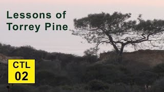 Climate, Trees, and Legacy: 02 - Lessons of Torrey Pine screenshot 2