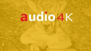 The Prophet-Ross Lara-audio4K [FREE Licence]♫