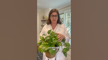 Natural air purifiers🪴 #scienceforkids #science #photosynthesis #funfacts