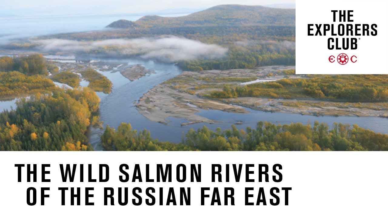 Are There Salmon In Russia?