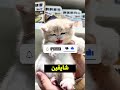 الدكتور حط أنبوبة شفط في بوق الراجل 😱