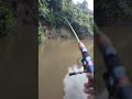 Gak nyangka Boncos gak tau di tarik ikan apa