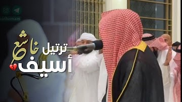 صلاة التراويح تلاوة خاشعة بصوت الشيخ أنس العمادي ليلة 13 رمضان 1446 هـ