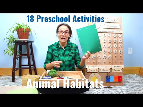 18 Preschool Activities for Animal Habitats (Part 1)