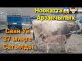 Ноокат/СААН Уйлар ж/а Реально Базар Баалары Арзанчылык болуп кетти деп жатабы