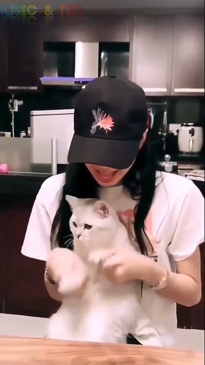 Lisa makes her Cat Dance || DDU Du Du|| Black Pink 🖤💕