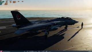DCS World - F-14A - Top Gun Final Dogfight