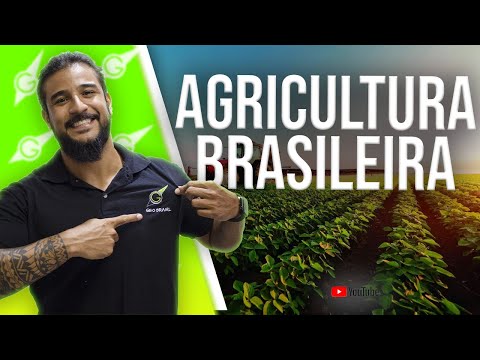 Vídeo: Brasil: indústria e agricultura