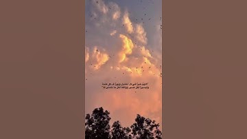 #قرآن #تلاوة_خاشعة #تلاوة #تلاوة_هادئة #قران_كريم #اكسبلور