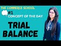 Trial Balance|| Concept of The Day