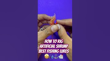 How to rig ARTIFICIAL SHRIMP Best Fishing Lures #catch more fish#love fishing #fishing videos 🎣❤️