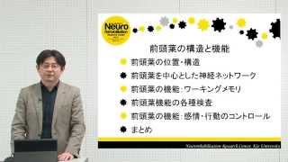 10分でわかる脳の構造と機能vol.1「前頭葉」‐畿央大学ニューロリハビリテーション研究センター‐