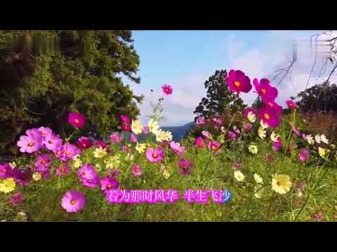 苏谭谭KTV合集2