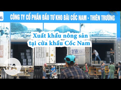 Xuất nông sản sang Trung Quốc: bị o ép đủ điều…