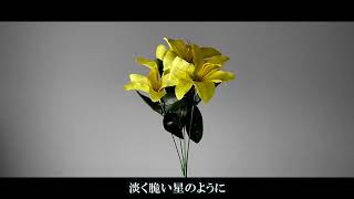 バタフライ / 初音ミク