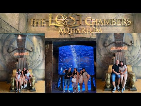 The Lost Chambers Aquarium, Dubai Atlantis